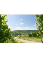 Alsace